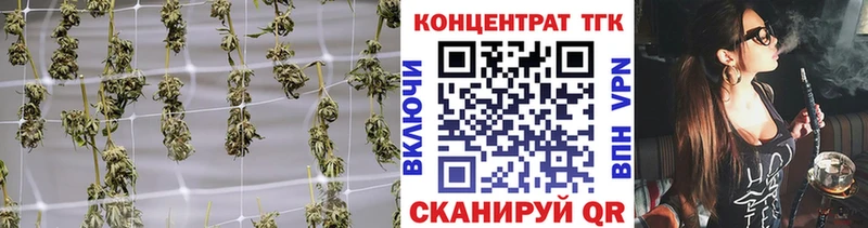 Купить закладки  Закаменск  ТГК Wax 